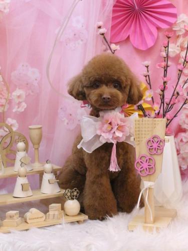 20250315くるるくん